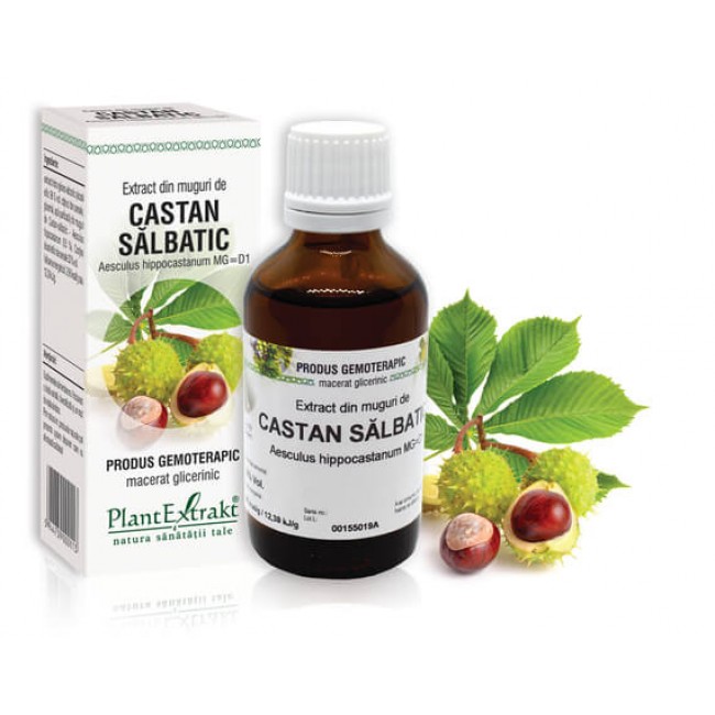 Extract din muguri de Castan salbatic, PlantExtract